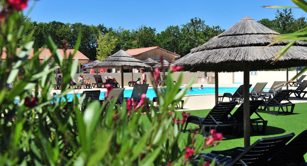Vue générale du camping Tastesoule en Nouvelle-Aquitaine